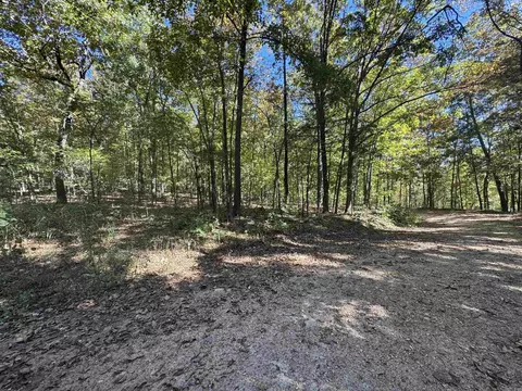 0 River Trace Ln, Hardy, AR 72542 photo 3