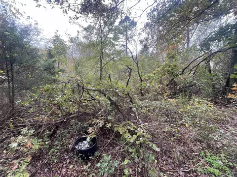 000 Prim Rd, Prim, AR 72130 photo 8