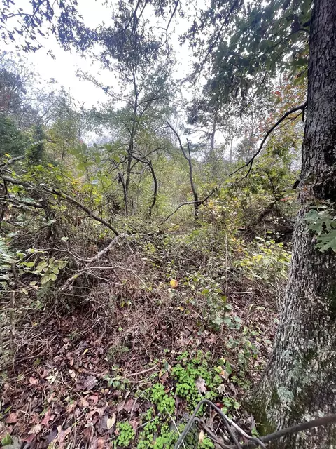 000 Prim Rd, Prim, AR 72130 photo 6