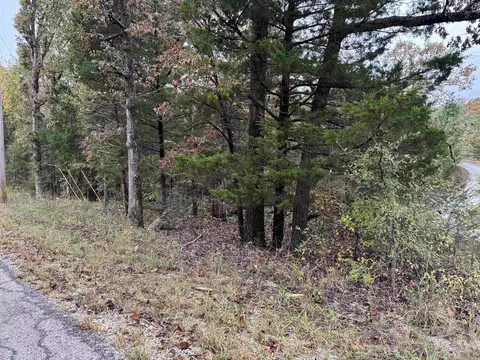 1300 Hummingbird Ln, Horseshoe Bend, AR 72512