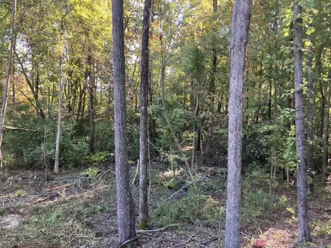 2409 Oakbrook Dr, Benton, AR 72015 photo 7