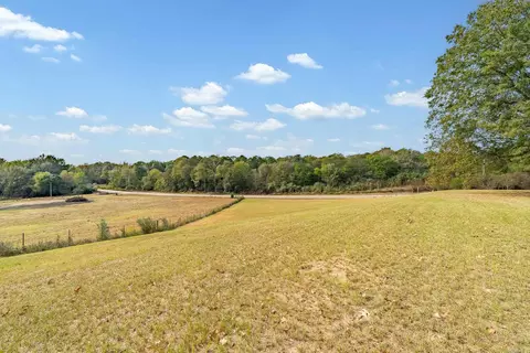 2017 S Highway 41 Hwy, Horatio, AR 71842 photo 22