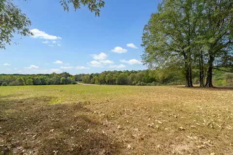 2017 S Highway 41 Hwy, Horatio, AR 71842 photo 21