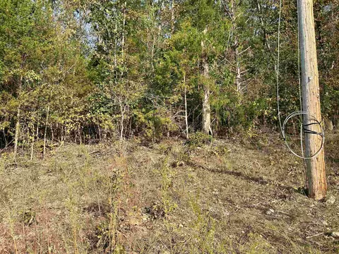 tbd Bluff Rd, Hardy, AR 72542 photo 4