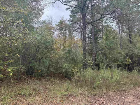 136 Loop Ln, Gillham, AR 71841 photo 6