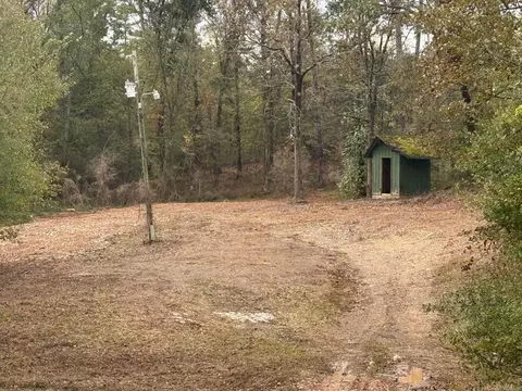 136 Loop Ln, Gillham, AR 71841 photo 10