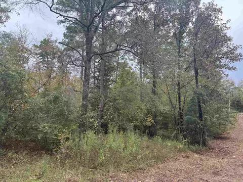 136 Loop Ln, Gillham, AR 71841 photo 7
