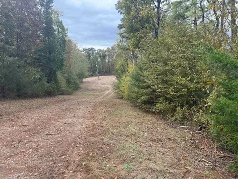 136 Loop Ln, Gillham, AR 71841 photo 8