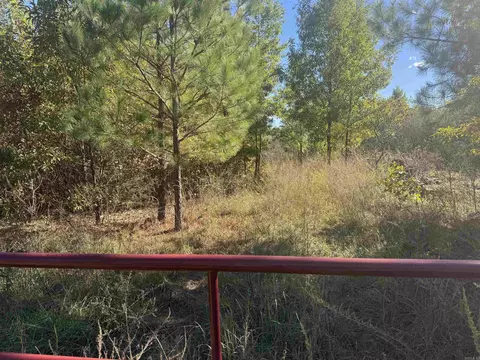000 Thomas Rd, Pangburn, AR 72121 photo 4