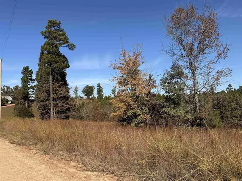 000 Qmc Rd, Mountain View, AR 72560 photo 4