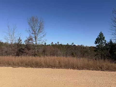 000 Qmc Rd, Mountain View, AR 72560 photo 14