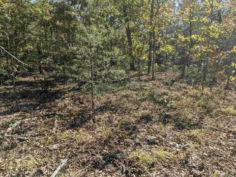 tbd Dearborn Ln, Salem, AR 72576