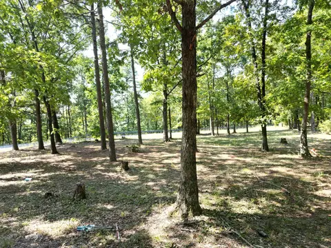 507 Henderson Rd, Clinton, AR 72031