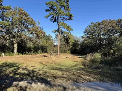 112 Breezy Ln, Hatfield, AR 71945 photo 40
