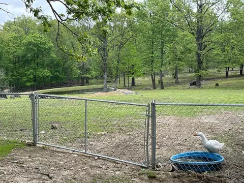 Exterior - 3630 Hwy 167, Ash Flat, AR 72513 photo 11 of 12