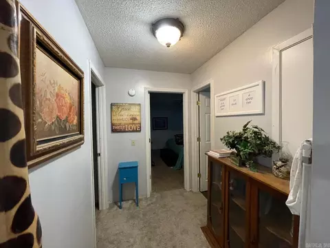 Entry Way - 3630 Hwy 167, Ash Flat, AR 72513 photo 1 of 2
