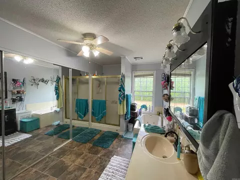 Bath - 3630 Hwy 167, Ash Flat, AR 72513 photo 2 of 6