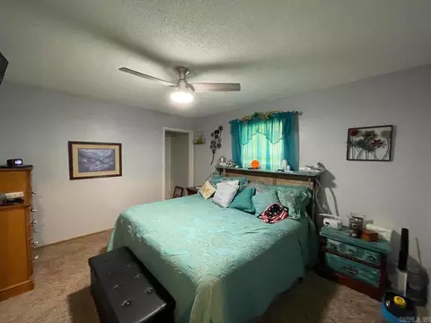Bedroom - 3630 Hwy 167, Ash Flat, AR 72513 photo 2 of 6