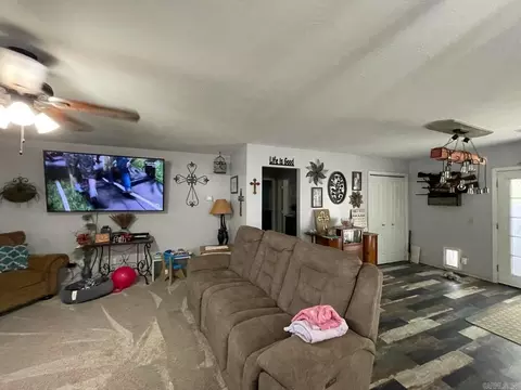 Living - 3630 Hwy 167, Ash Flat, AR 72513 photo 1 of 1