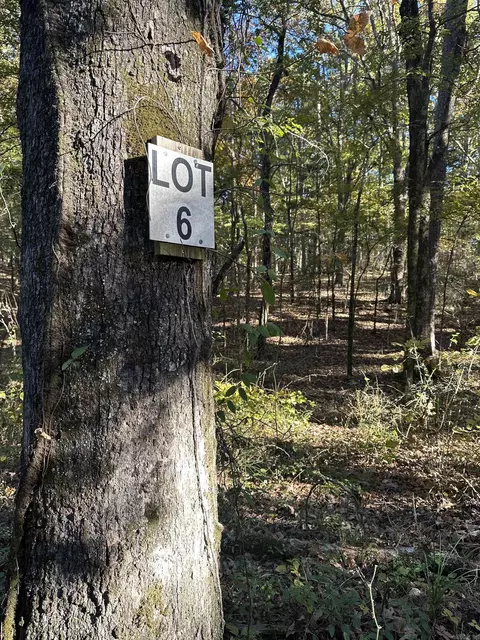 226 Cathedral Pines Ln, Mena, AR 71953