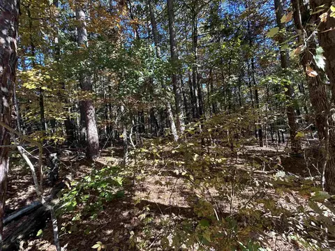123 Robinhood Loop, Fairfield, AR 72088