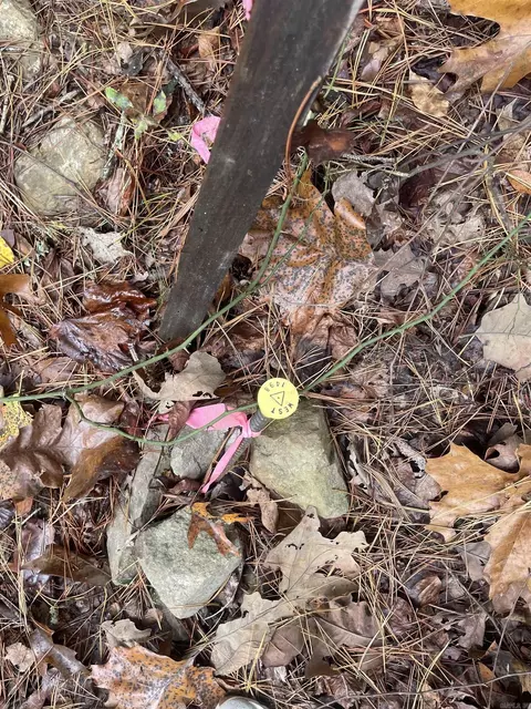 48 Green Tree, Clinton, AR 72031