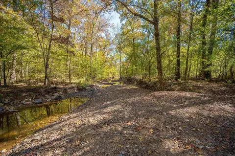 317 Tweedy, Mcrae, AR 72102 photo 3