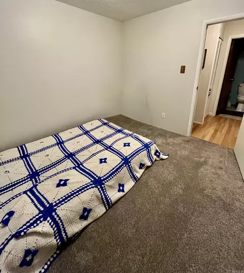 2540 Lakeside Drive Dr, Benton, AR 72019 photo 17
