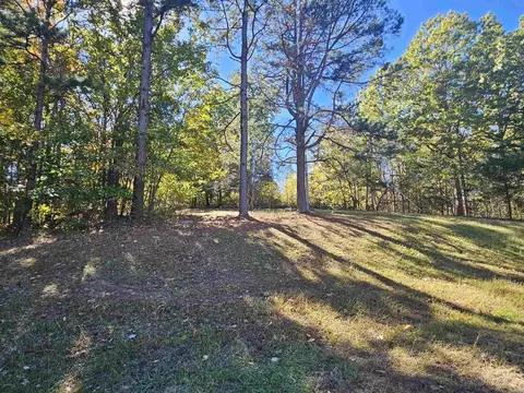 234 N Ridgeway Way, Marshall, AR 72650 photo 39