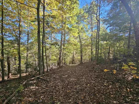 234 N Ridgeway Way, Marshall, AR 72650 photo 41