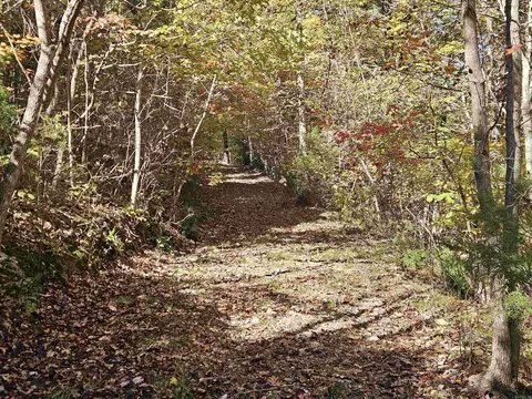 234 N Ridgeway Way, Marshall, AR 72650 photo 46