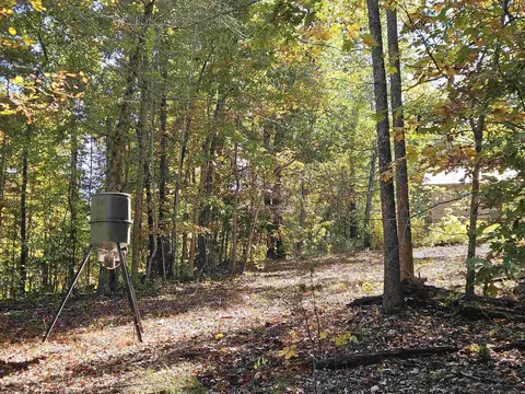 234 N Ridgeway Way, Marshall, AR 72650 photo 47