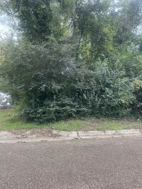 311 Pearl, Camden, AR 71701