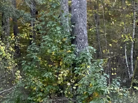 80 And 82 San Juan Way, Hot Springs Village, AR 71909