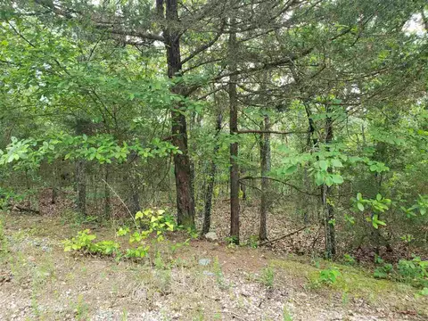 11 South Micco Drive # l, Cherokee Village, AR 72529