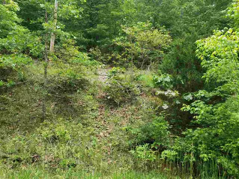 5 Flathead Drive # l, Cherokee Village, AR 72529