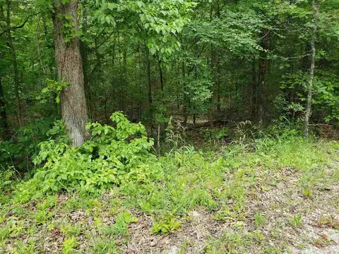 L-94 B5 Ouachita Road, Cherokee Village, AR 72529