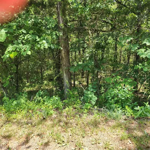 13 Altakima Trce, Cherokee Village, AR 72529