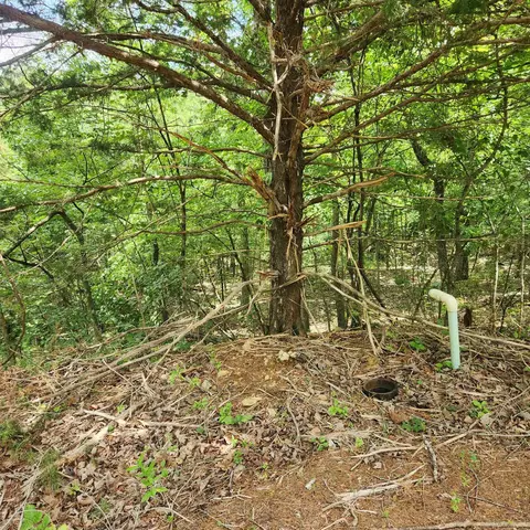 18 Impa Circle, Cherokee Village, AR 72529