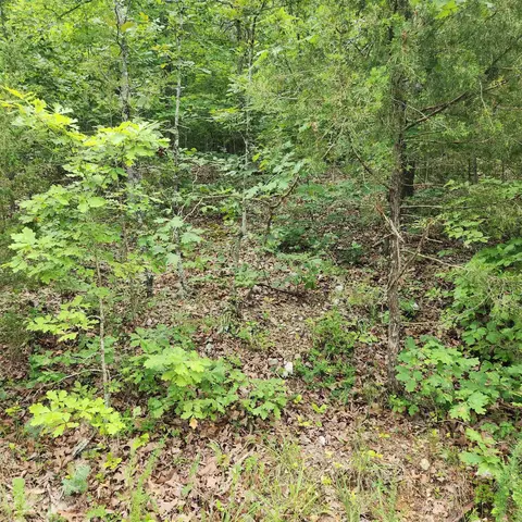 18 Tampa Drive, Cherokee Village, AR 72529