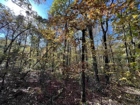 lot60 R Holley Mountain Airpark, Clinton, AR 72031