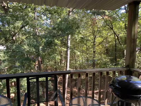 12 S S Cres # D, Mount Ida, AR 71957 photo 22