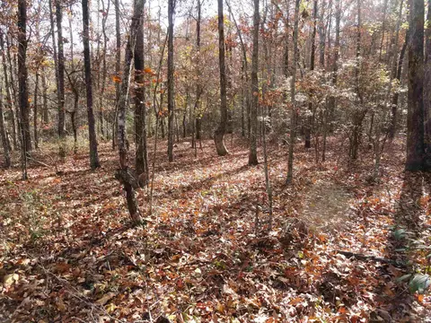 229 Mayapple Rd, Harriet, AR 72639 photo 6