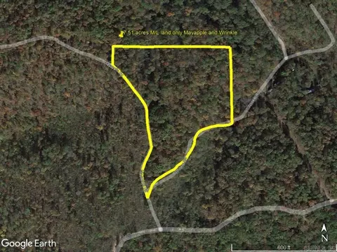 229 Mayapple Rd, Harriet, AR 72639