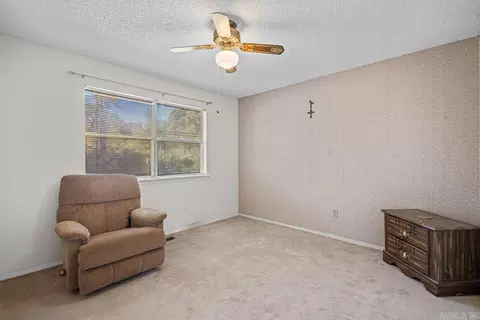 594 Joyce Dr, Benton, AR 72019 photo 19