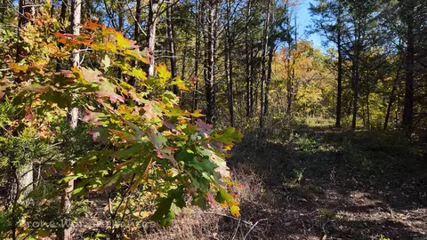 000 Range St, Marshall, AR 72650 photo 18