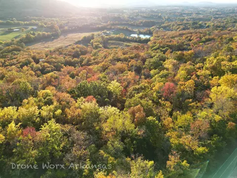 000 Range St, Marshall, AR 72650 photo 5