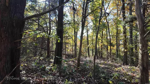 000 Range St, Marshall, AR 72650 photo 20