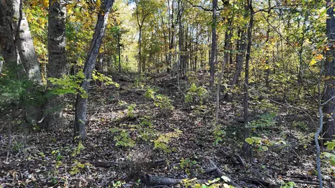 000 Range St, Marshall, AR 72650 photo 30