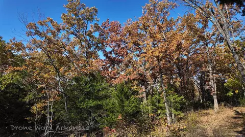000 Range St, Marshall, AR 72650 photo 23